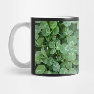 Finding  Luck 2 Mug